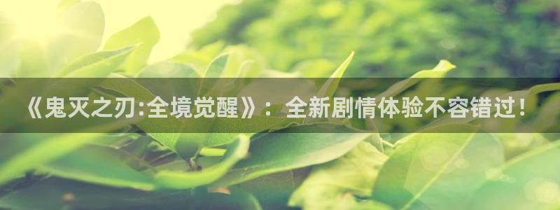 动漫天堂下载