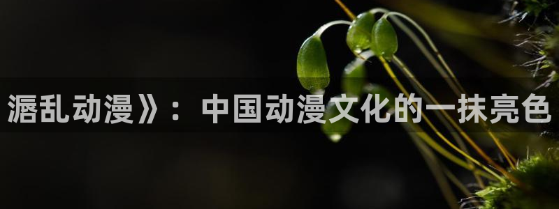 成人动漫天堂网：滣乱动漫》：中国动漫文化的一抹亮色