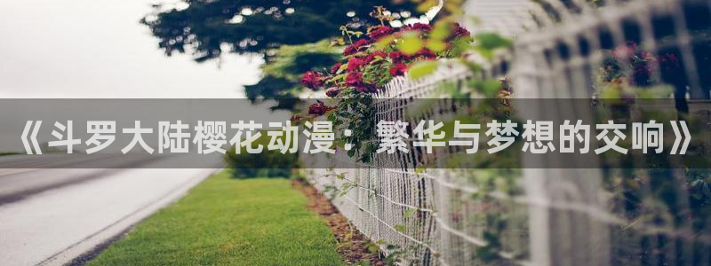 成人动漫天堂av：《斗罗大陆樱花动漫：繁华与梦想的交响》