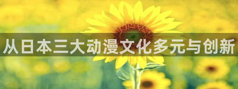 动漫天堂18：从日本三大动漫文化多元与创新