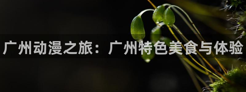 动漫天堂之吻：广州动漫之旅：广州特色美食与体验