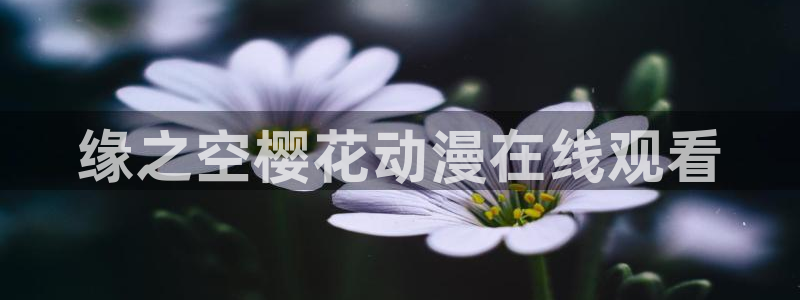 动漫天堂下载安装最新版：缘之空樱花动漫在线观看