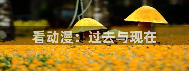 动漫天堂在线看：看动漫：过去与现在
