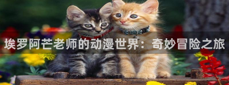 h动漫天堂：埃罗阿芒老师的动漫世界：奇妙冒险之旅