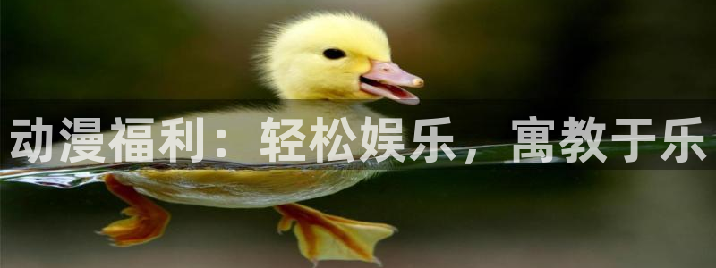 动漫天堂免费：动漫福利：轻松娱乐，寓教于乐