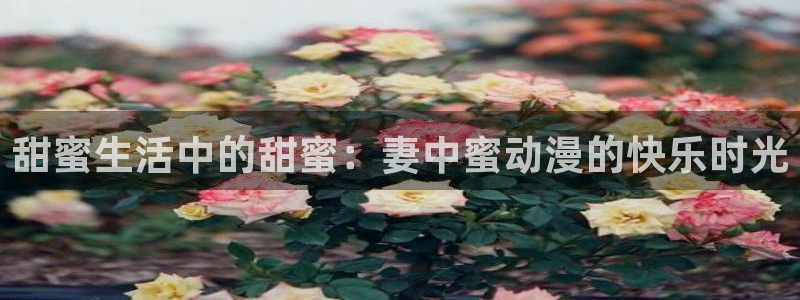 动漫天堂之吻：甜蜜生活中的甜蜜：妻中蜜动漫的快乐时光