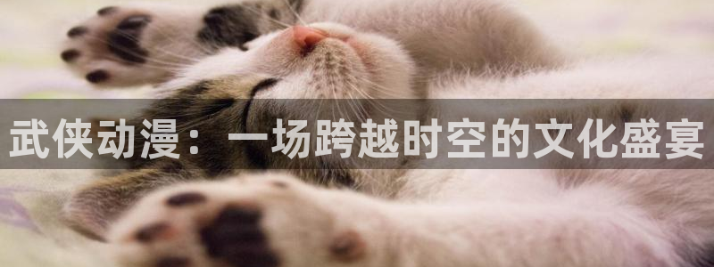 原神动漫天堂免费入口：武侠动漫：一场跨越时空的文化盛宴