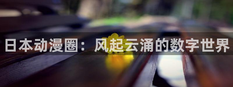 动漫天堂下载