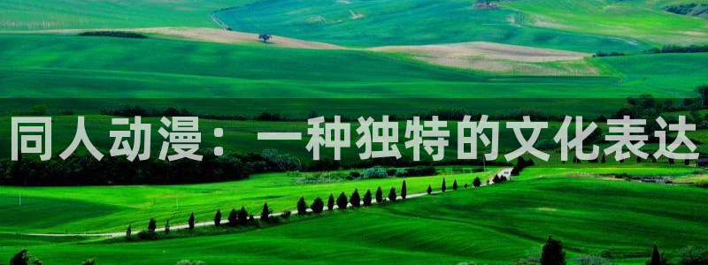 动漫天堂