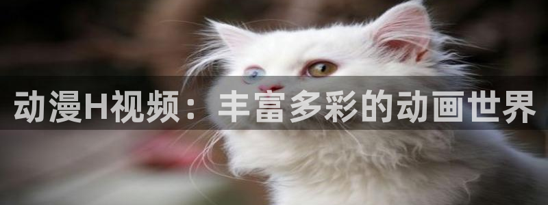 3d动漫天堂