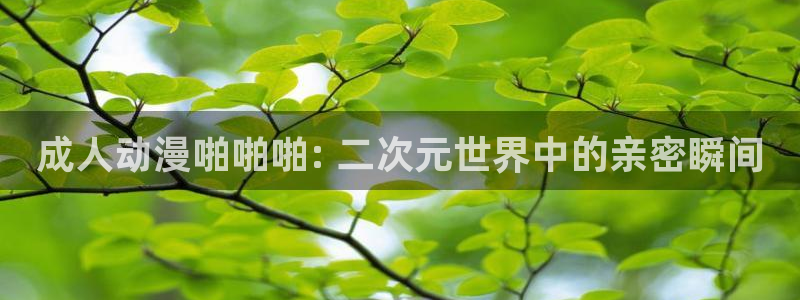 成人动漫天堂网