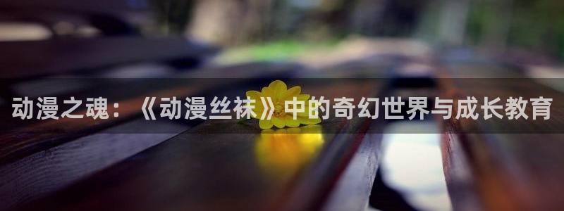 动漫天堂在线免费观看