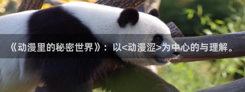 动漫天堂下载正版