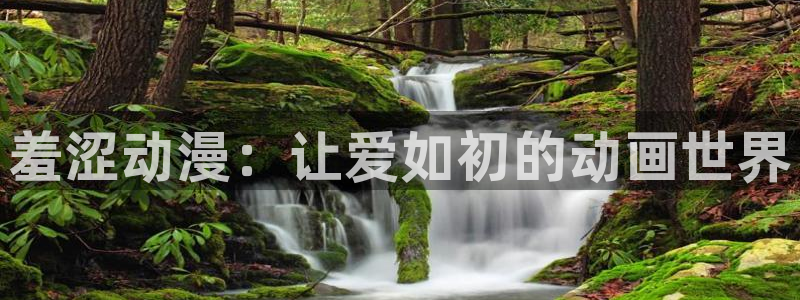 动漫天堂下载