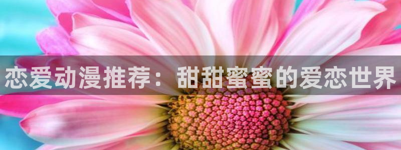 禁动漫天堂