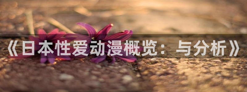 动漫天堂电影