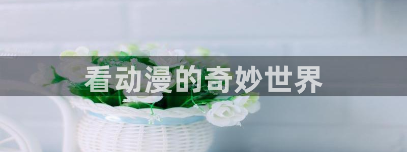 动漫天堂在线