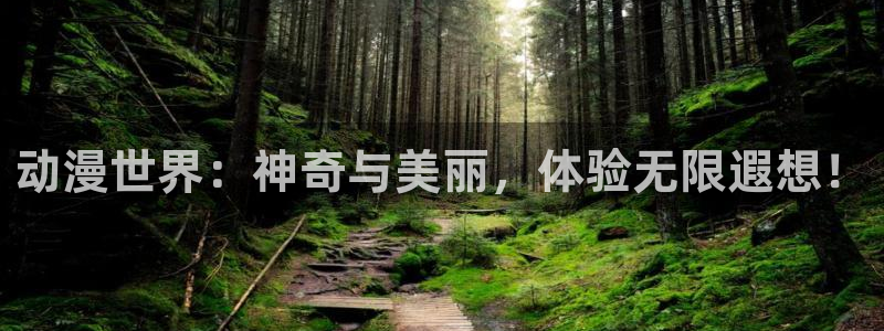 动漫天堂网站