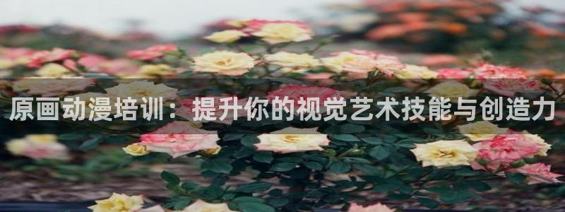 秋叶原动漫天堂