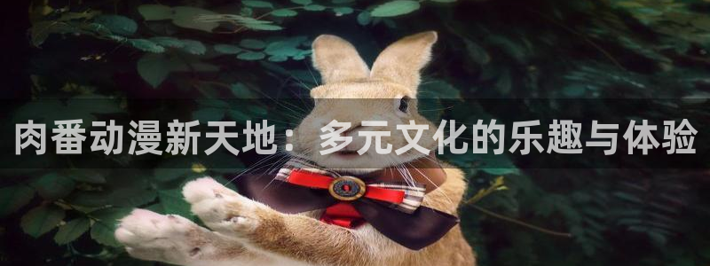 bt动漫天堂