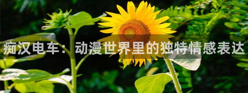 动漫天堂3d