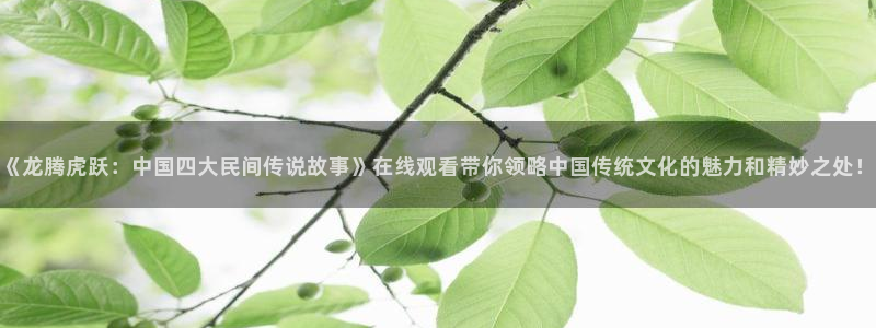 番剧推荐动漫天堂.