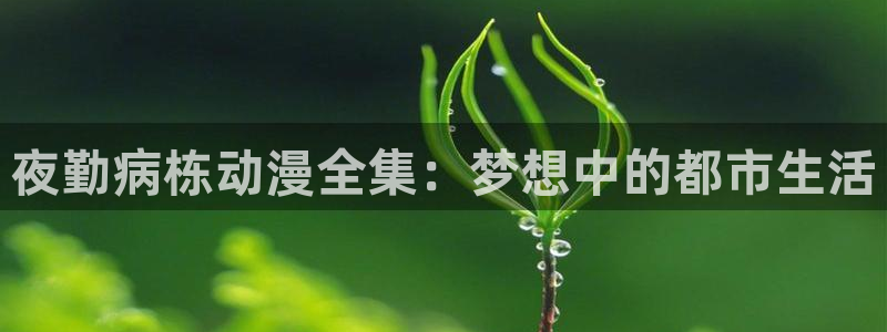3d动漫天堂网：夜勤病栋动漫全集：梦想中的都市生活
