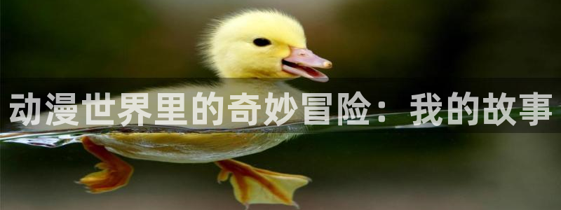 同人动漫天堂：动漫世界里的奇妙冒险：我的故事
