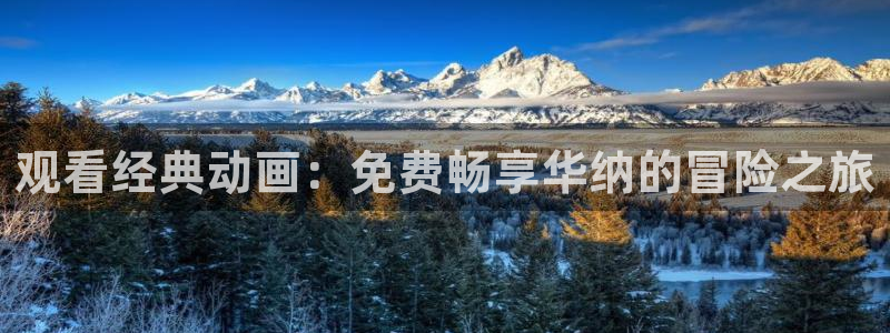 动漫天堂3d：观看经典动画：免费畅享华纳的冒险之旅