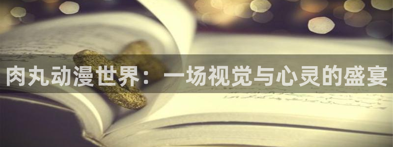 91动漫天堂：肉丸动漫世界：一场视觉与心灵的盛宴