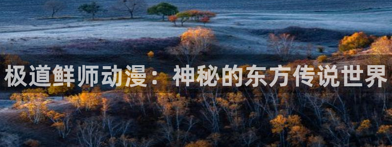 动漫天堂cc：极道鲜师动漫：神秘的东方传说世界
